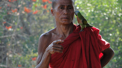 Mönch mit Kanari